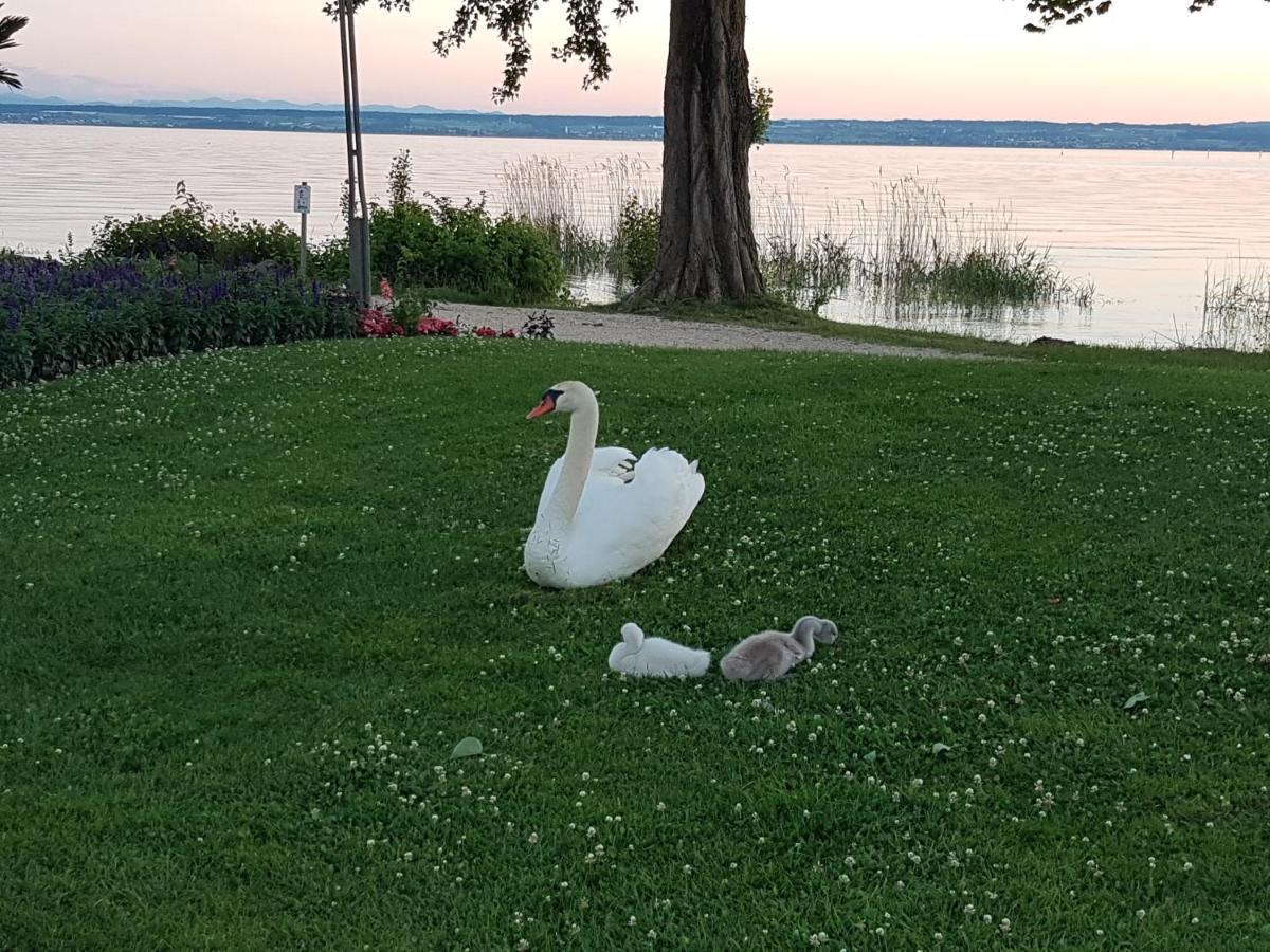 אימנשטאדט אם בודנזה Malvelyns Am Bodensee מראה חיצוני תמונה